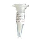 High Sensitive Medical Test Kits For D-Dimer Rapid Quantitative Test In Whole Blood Plasma And Serum
