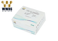 High Stability Real Time PCR Kits CysC Fast Test Kit  ISO13485 Certified