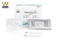 High Stability Real Time PCR Kits CysC Fast Test Kit  ISO13485 Certified