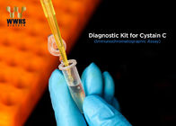 Cystatin C Real Time PCR Kits High Sensitivity 12 Months Shelf life