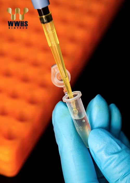 NT-ProBNP Rapid Test Kit Fluorescence Immunoassay Cardiac Testing