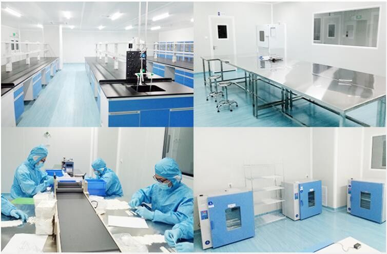 WH-C1000 POCT Instrument 200 Tests/H Automatic Sample Processing System