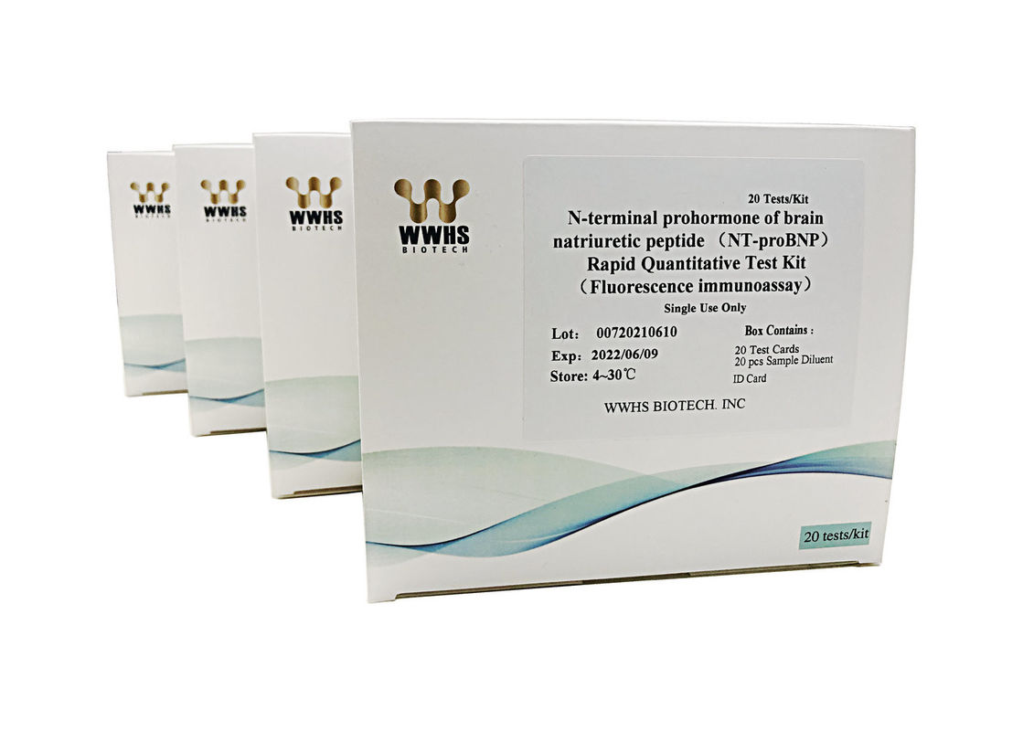 NT-proBNP Rapid Quantitative Test Kit POCT WWHS IFA IVD Blood Diagnostic