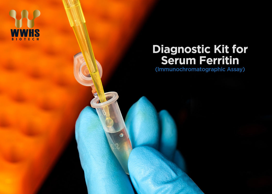 Ferritin POCT Medical Rapid Test For WWHS In Whole Blood Plasma And Serum