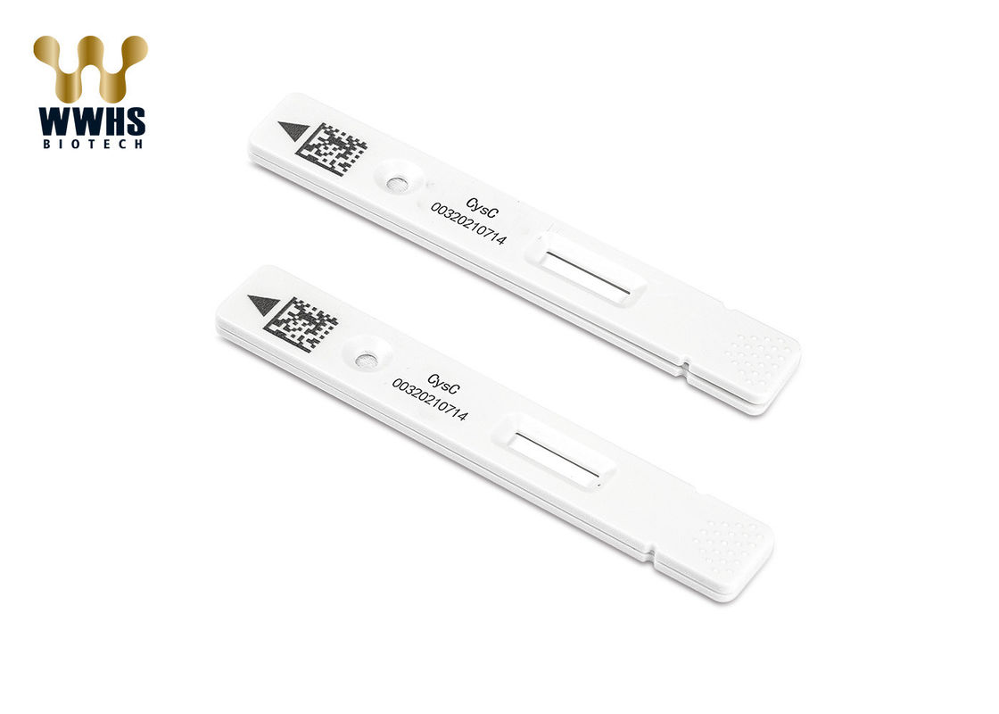 Diagnostic Kit for Cystain C Rapid Test Kit IFA Colloidal Gold IVD Blood Diagnostic