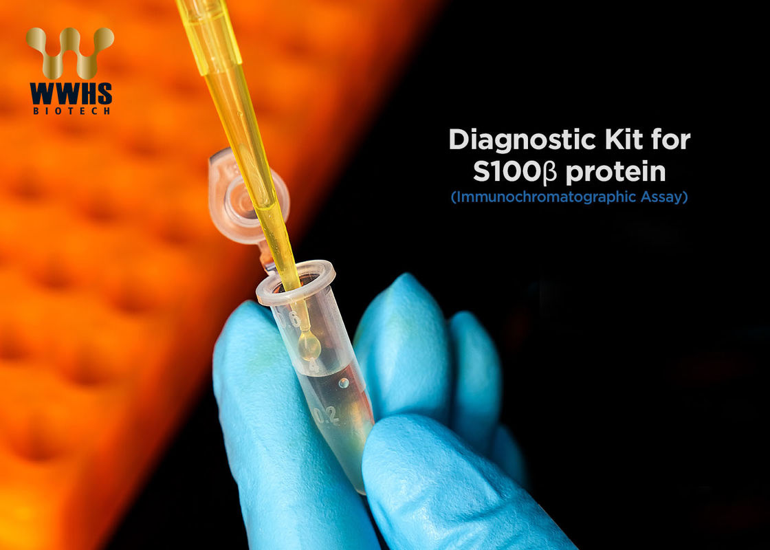 S100-β Rapid Test Cassette POCT Diagnostic Kits Colloidal Gold