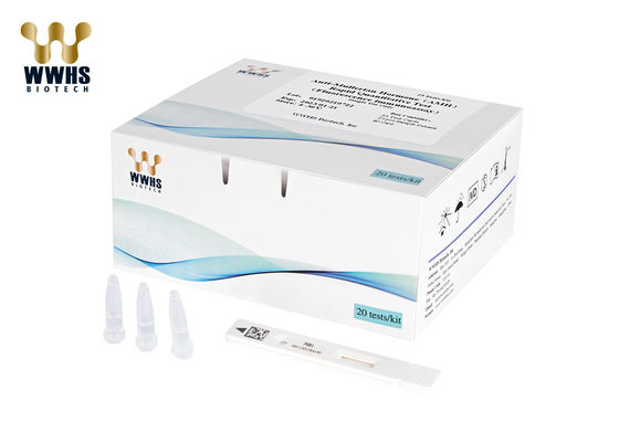 High Accuracy AMH Test Kit Anti Mullerian Hormone Kit for Clinical Diagnostics
